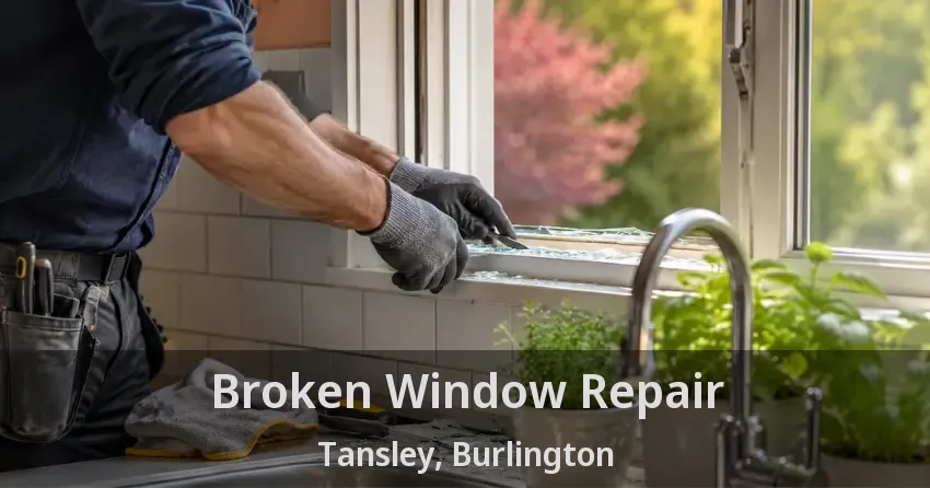 Broken Window Repair Tansley, Burlington - ON