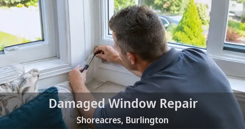 Damaged Window Repair Shoreacres, Burlington - ON
