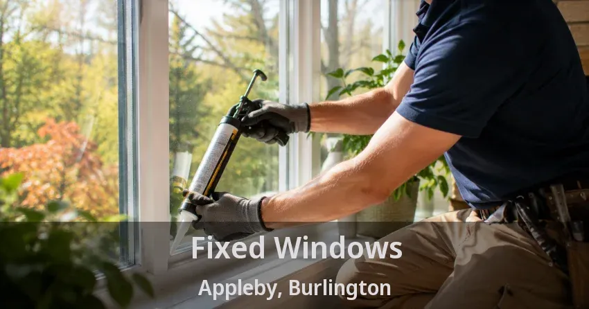 Fixed Windows Appleby, Burlington - ON