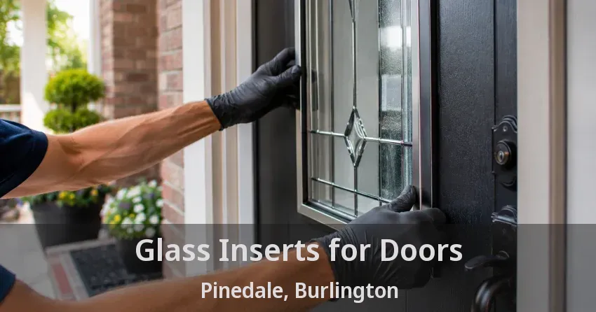 Glass Inserts for Doors Pinedale, Burlington - ON