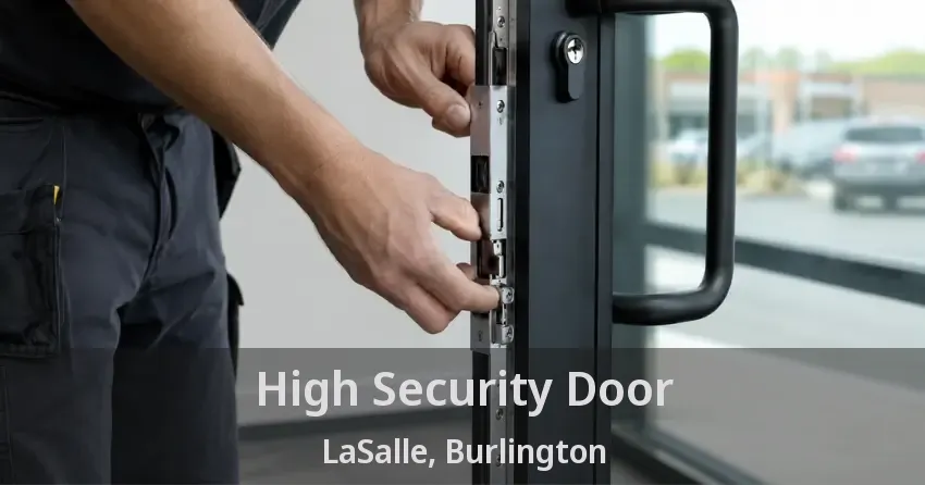 High Security Door LaSalle, Burlington - ON