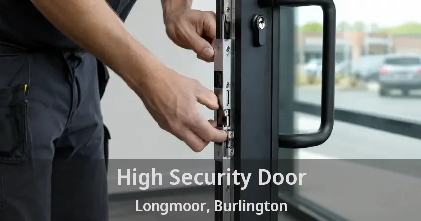 High Security Door Longmoor, Burlington - ON
