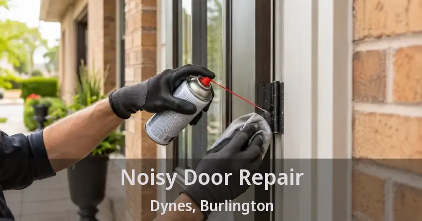 Noisy Door Repair Dynes, Burlington - ON