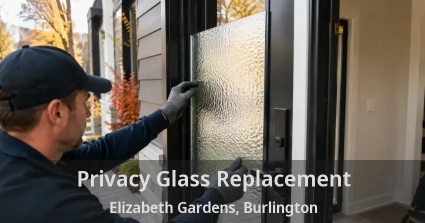 Privacy Glass Replacement Elizabeth Gardens, Burlington - ON