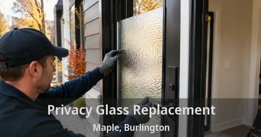Privacy Glass Replacement Maple, Burlington - ON